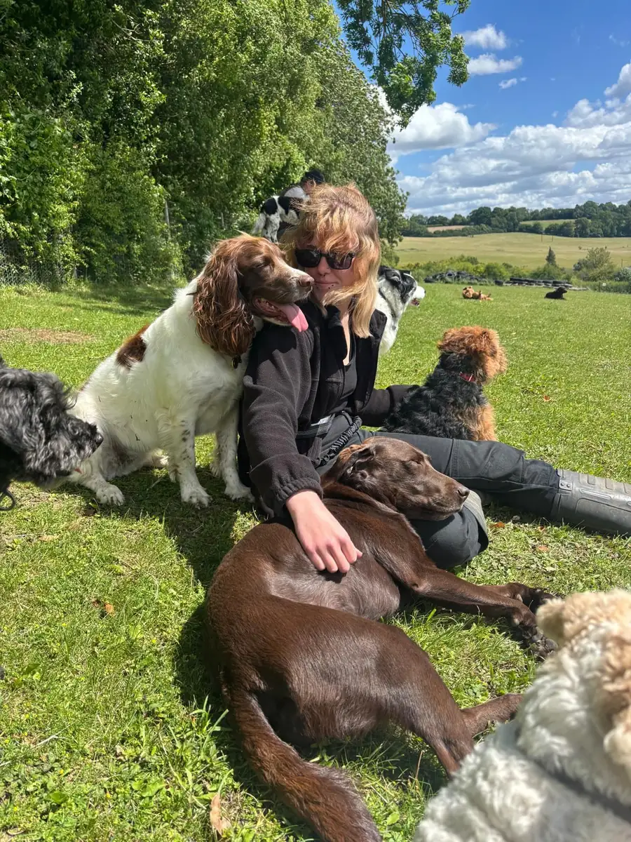 A Schnoodles team member sitting in the field with a group of dogs