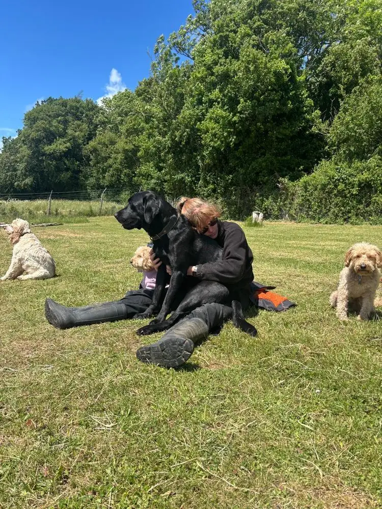A Schnoodles team member cuddling a black labrador